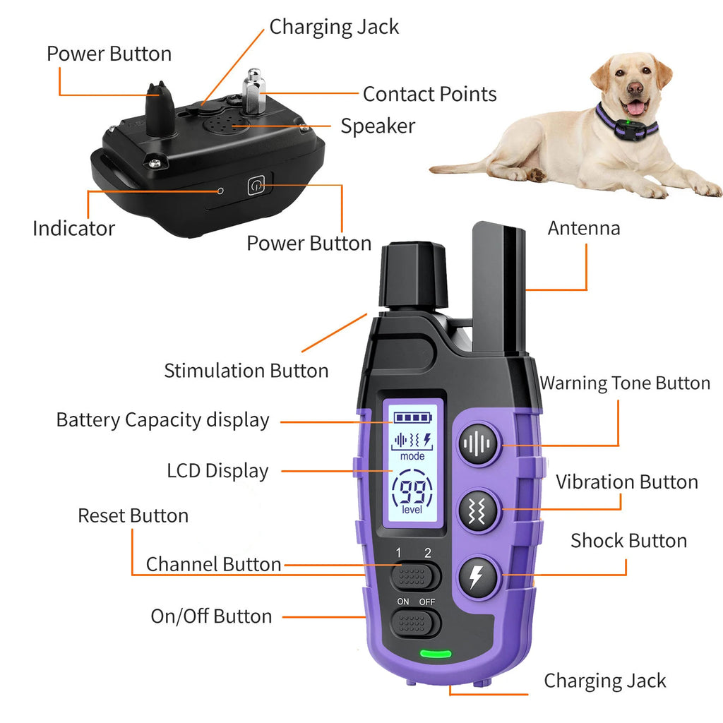 Electric Dog Training Collar Remote Control