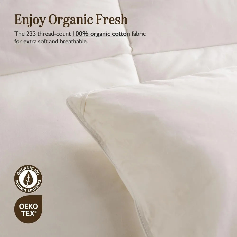Queen Size Organic Feather Down Comforter
